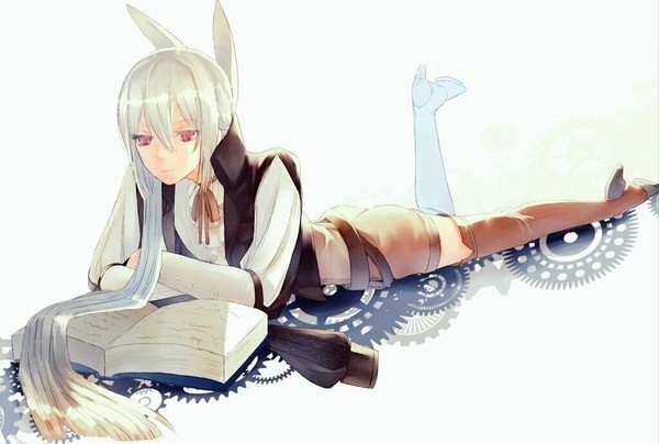 兎