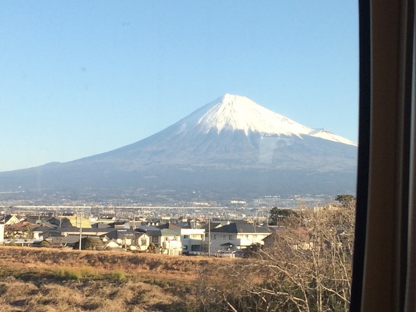 まっとふじ
