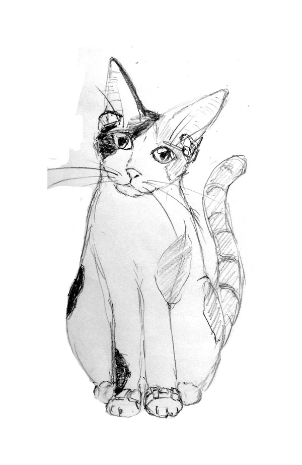 船長さん
