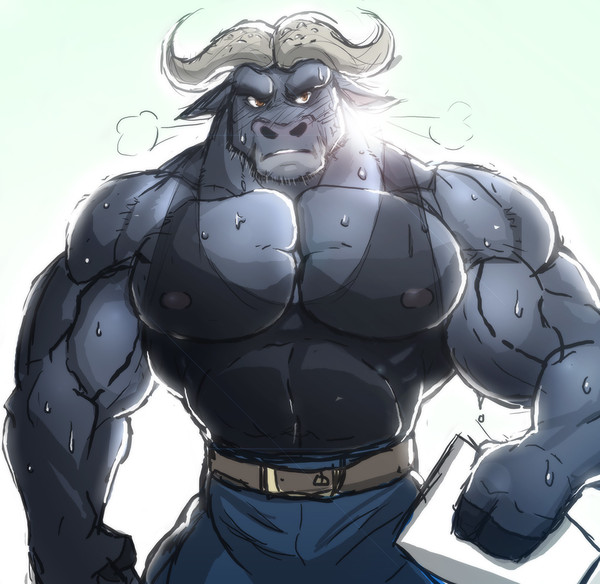 BOGO is Best!