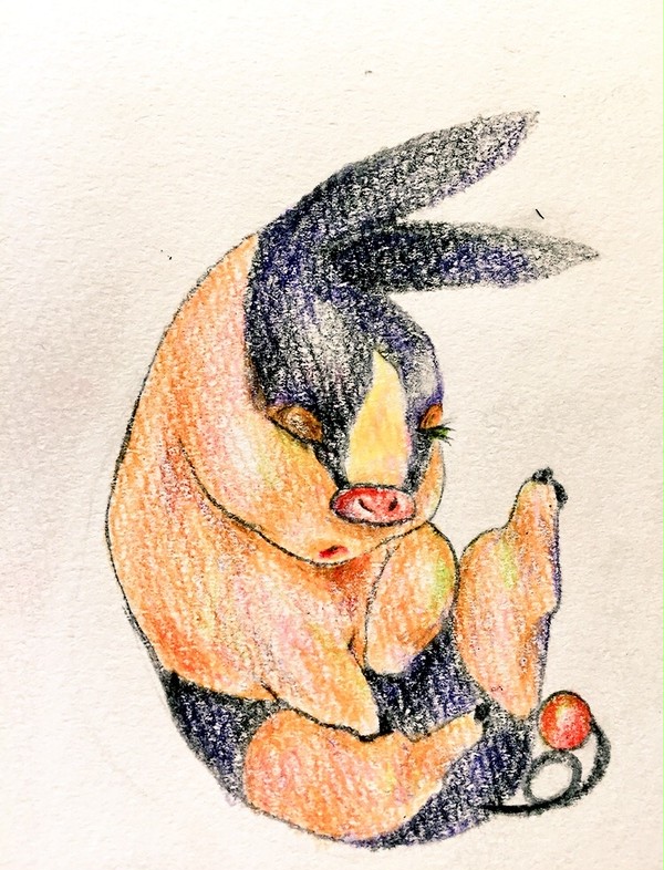 ポカブ