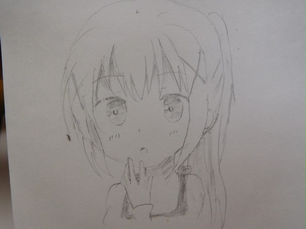 チノちゃん