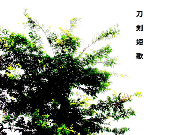 私家版刀剣短歌詰めvol.1
