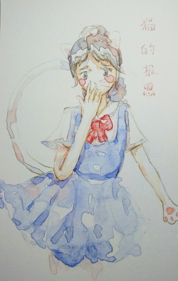 猫的报恩