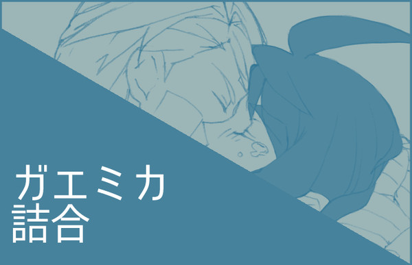ガエミカ詰め