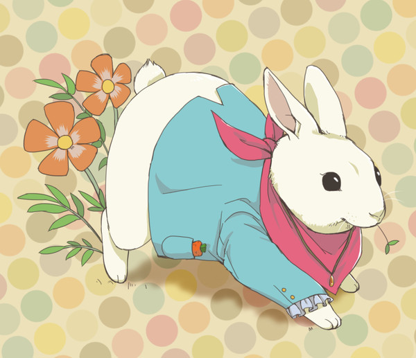 ウサ