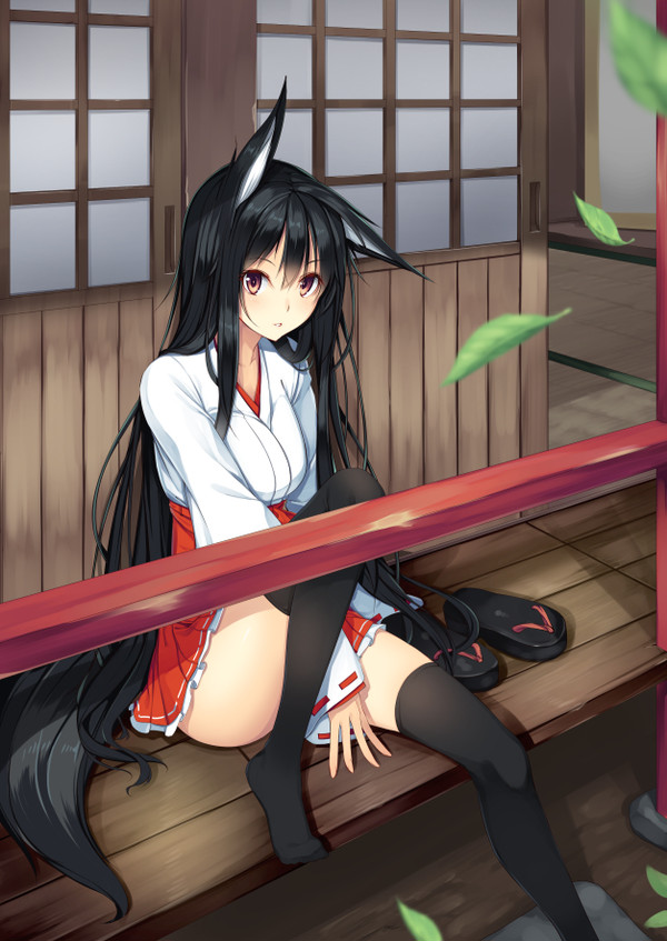 黒髪狐