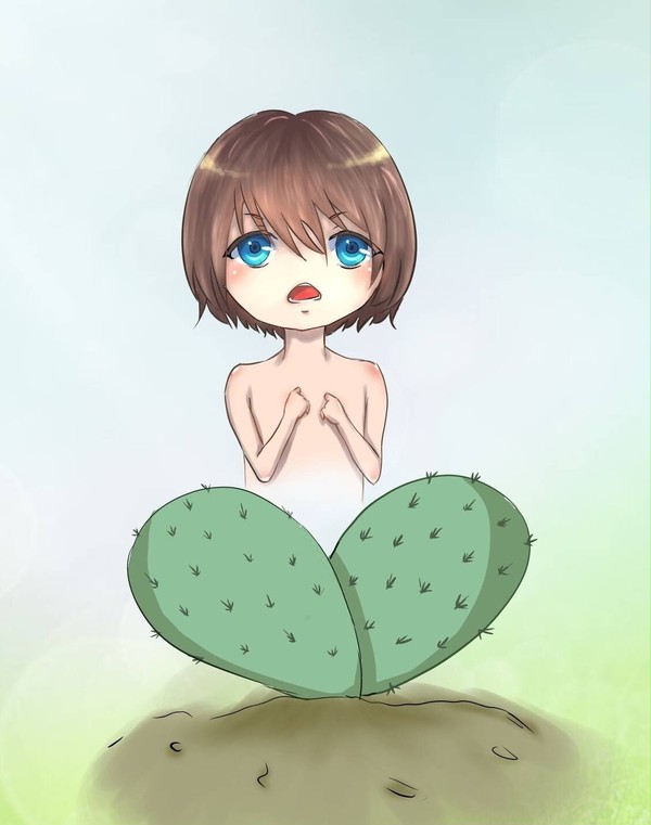 不二周助