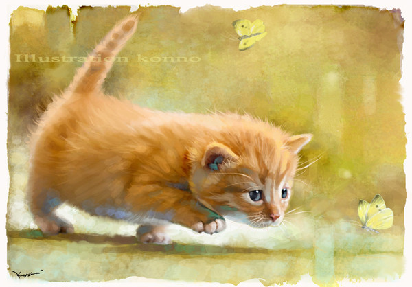 Cat