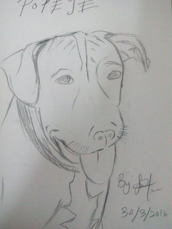 私の犬