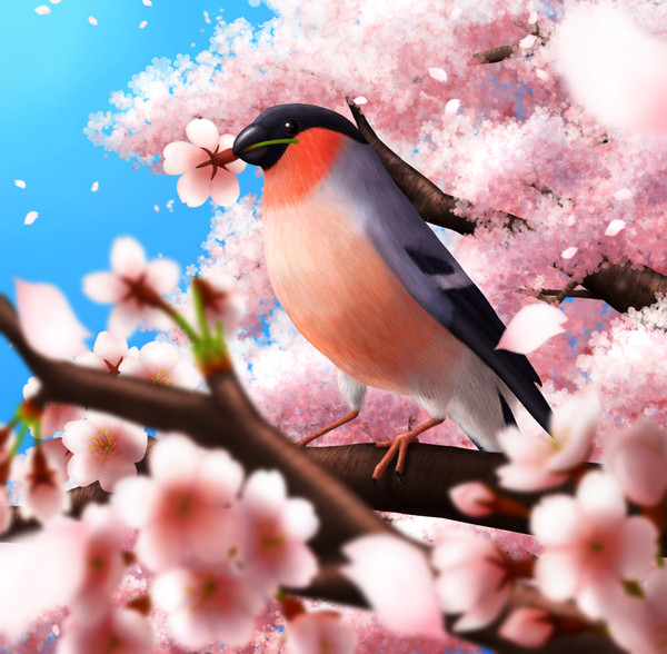 春爛漫