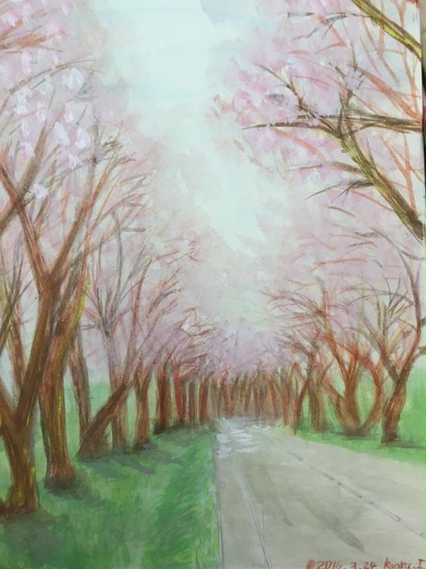 桜並木