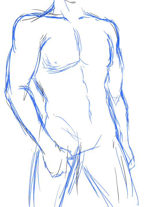 male body