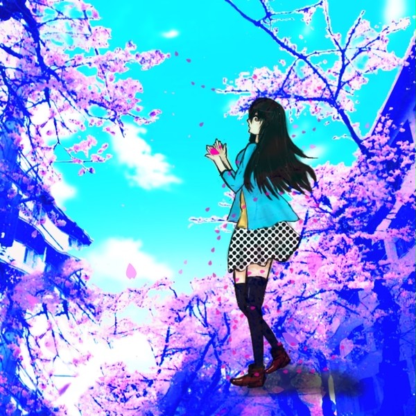 大空と桜と私