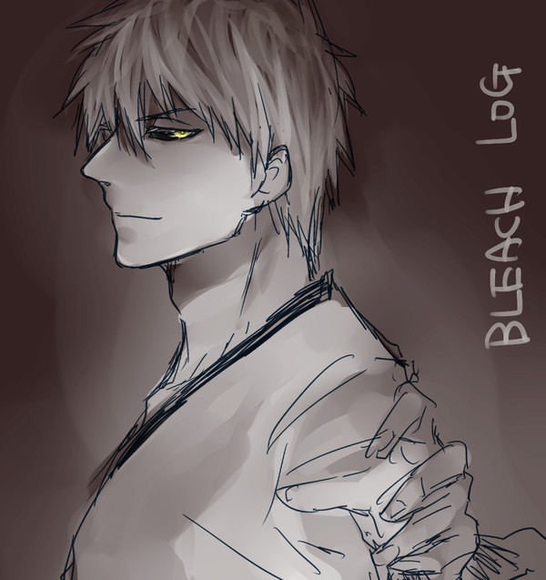 BLEACH LOG5