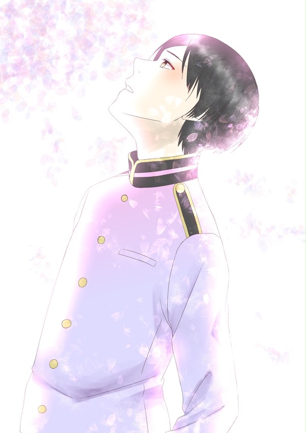 本田菊