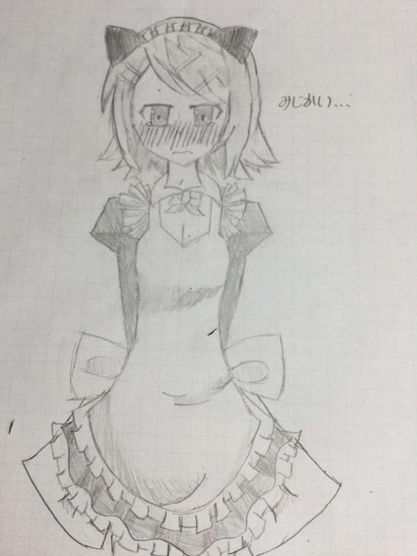 ぬこみみメイドリンちゃん！！