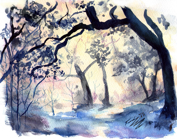 Hazy Forest