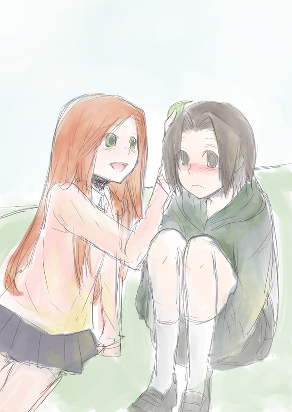 ハニカムセブリリ
