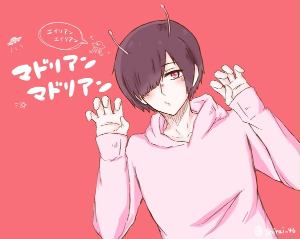まどりあん。