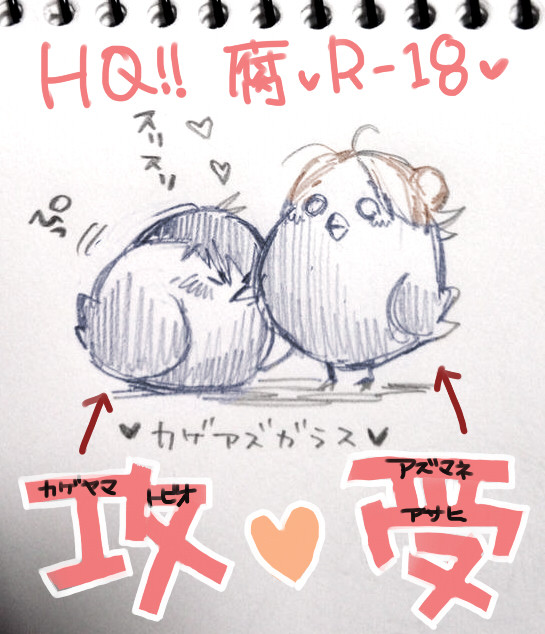 【R18腐】影東log2