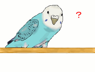 インコとサンサーラナーガのザコ(エサ?)