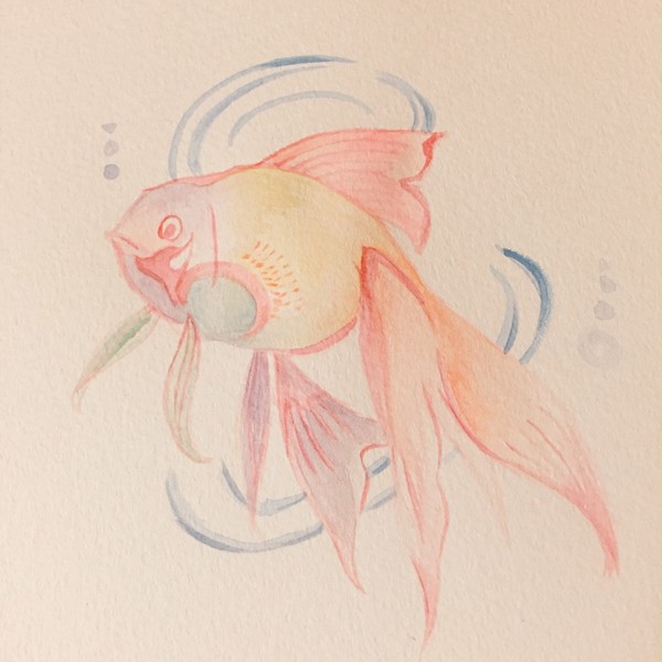 水彩金魚