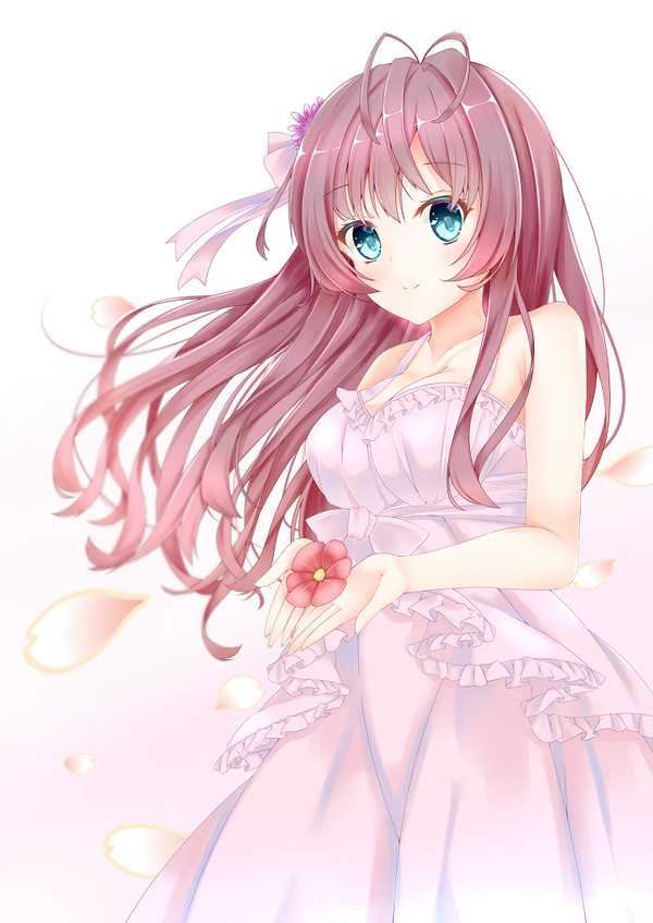 ✿志希✿