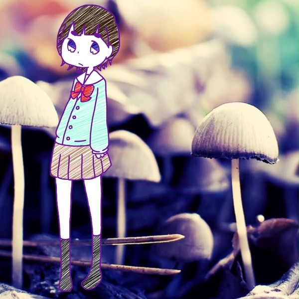 どこのこきのこのきのこの子