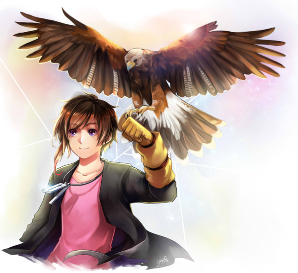 HAWK