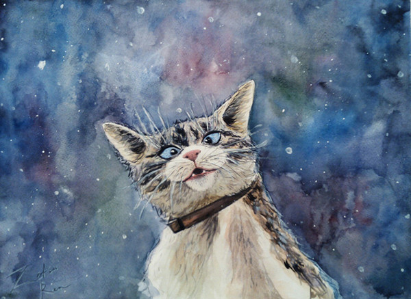 A foolish cat