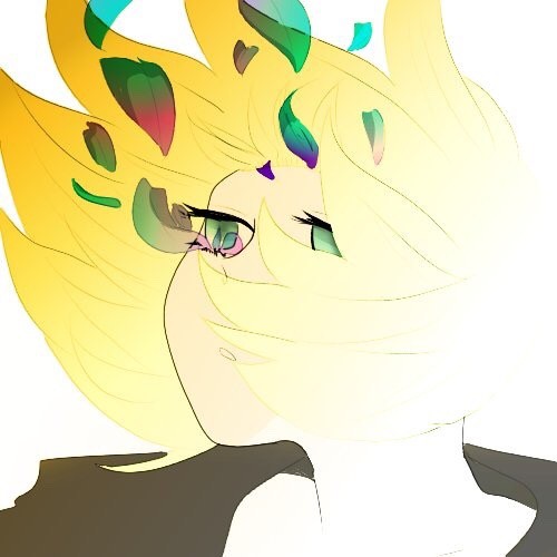 花弁の色は