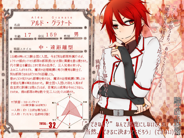 【士武2】アルド・グラナート【騎士】