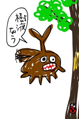 カブトムシ