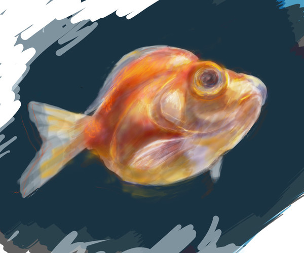 金魚
