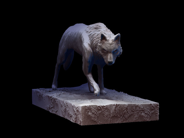 Lonely wolf