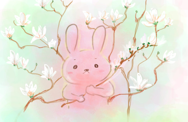 木蓮とうさぎ（玉兰花和兔子）