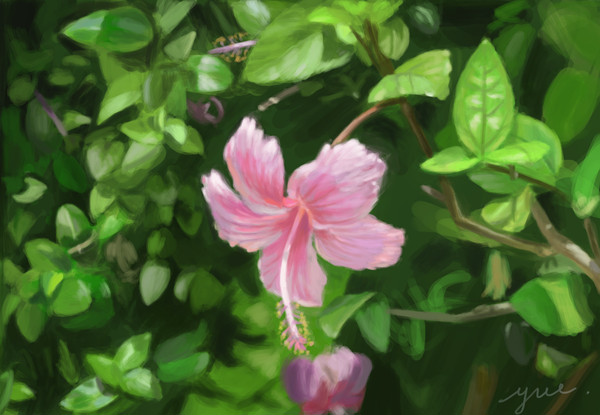 練習