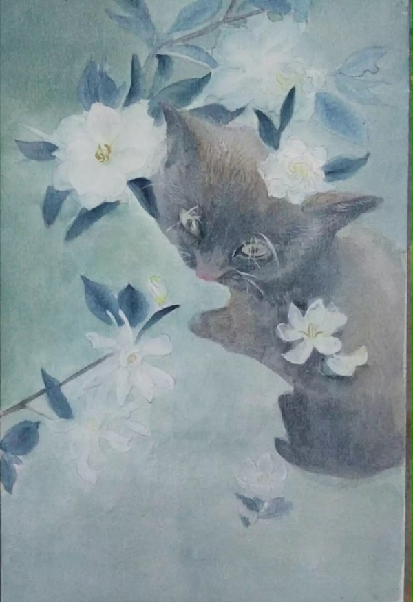 猫