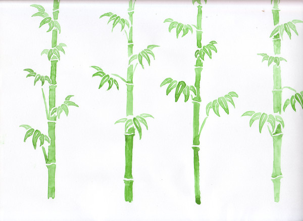 竹(背景用)