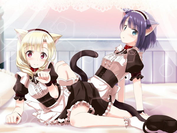 猫耳メイド　猪俣ルナ＆早乙女たまお