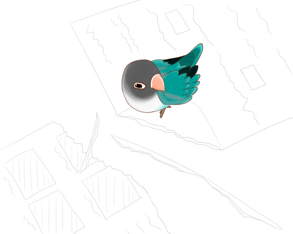 家の鳥01