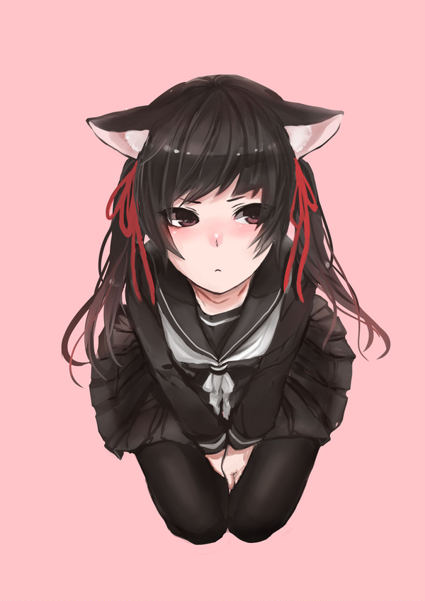 猫セーラー