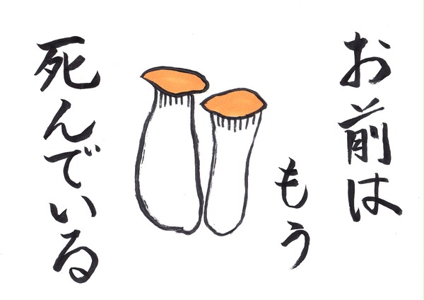 HOKTOの拳