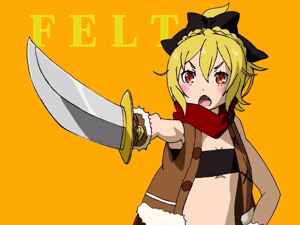 フェルト