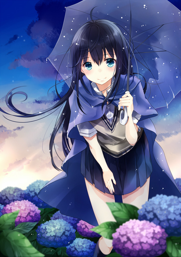 紫陽花