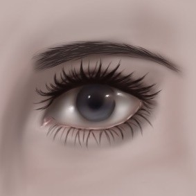 Eye
