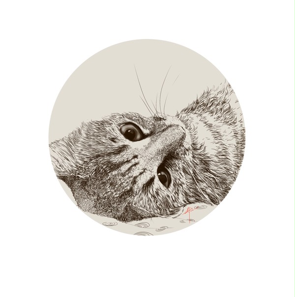 cat