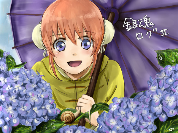 銀魂ログⅡ
