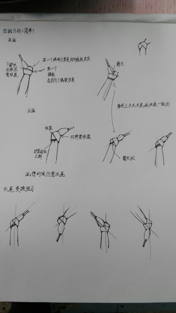 简单结的分析